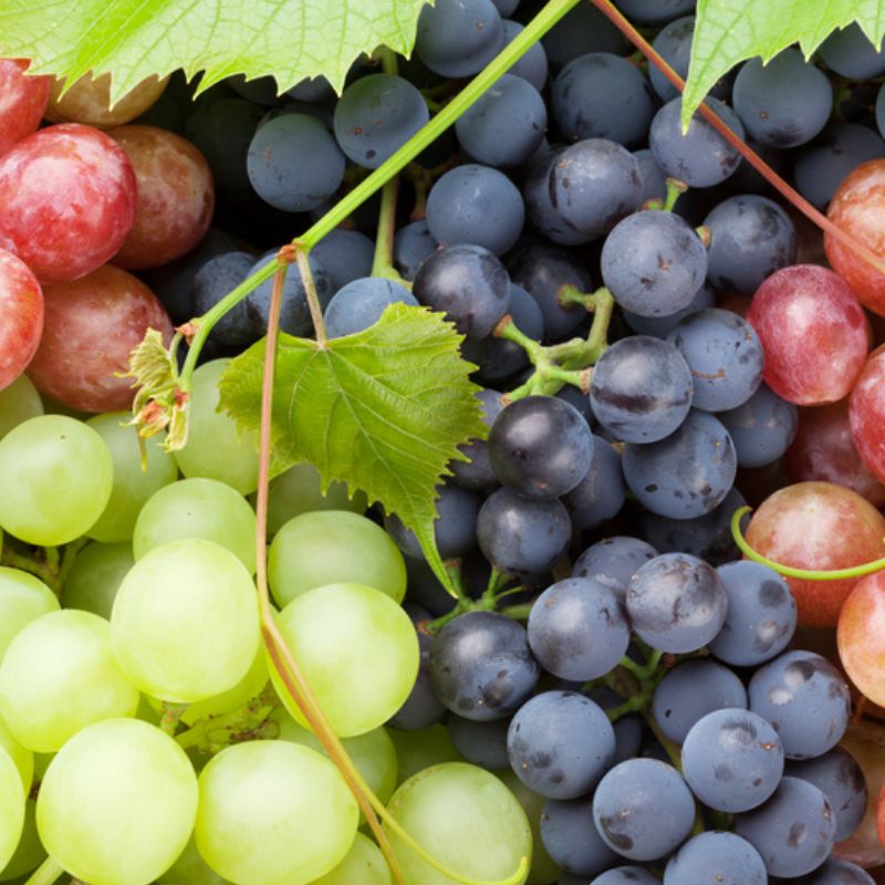 Table Grapes